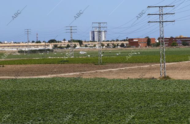 Agricultura en Cartagena Foto Juan Carlos Soler archdc Juan Carlos Soler