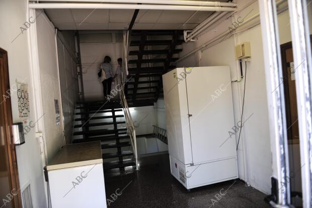 Laboratorio de Investigacion del hospital de sant Pau
