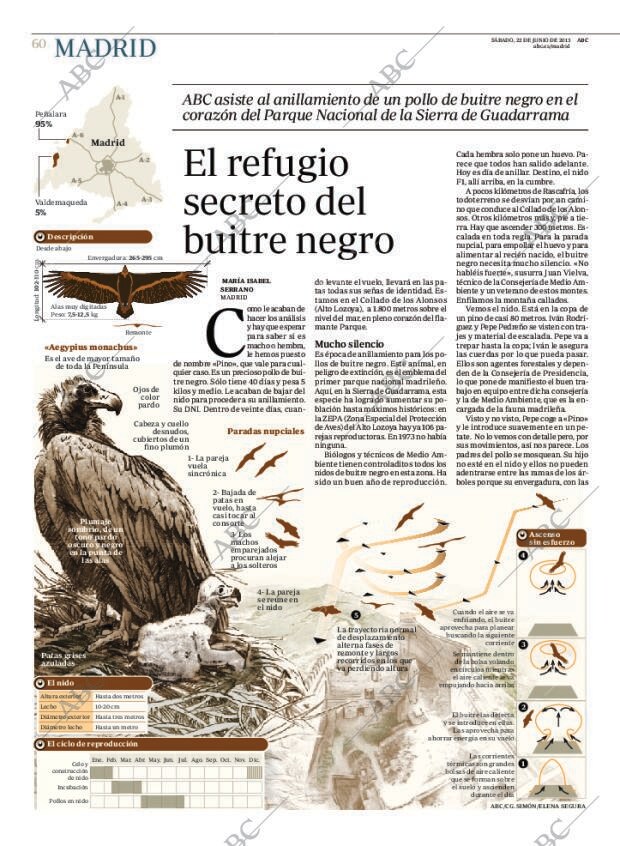 ABC MADRID 22-06-2013 página 60