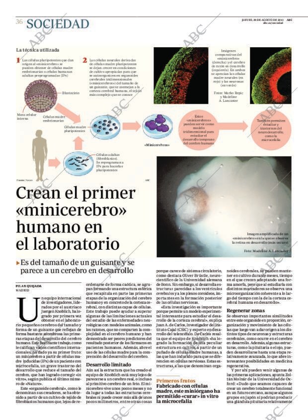 ABC MADRID 29-08-2013 página 36