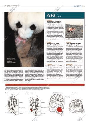 ABC MADRID 31-08-2013 página 55