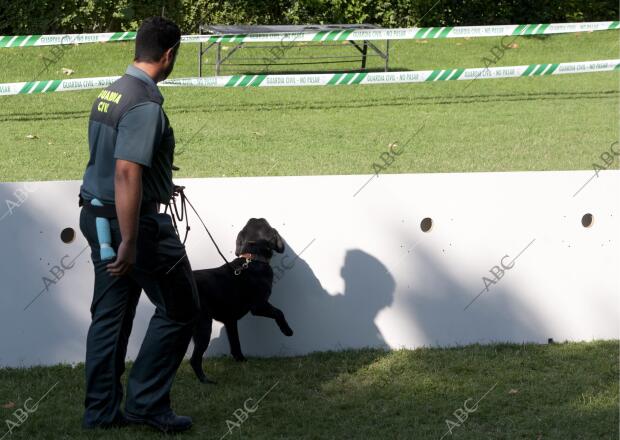 Ojalá función Aplicado Escuela de adiestramiento de perros de la Guardia Civil - Archivo ABC
