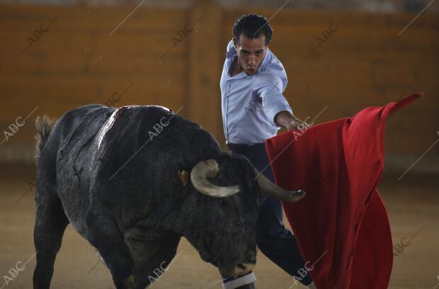 Fuentelencina Guadalajara. 1-10-13. Ivan Fandiño Torero