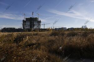 Obras torre Bbva las Tablas