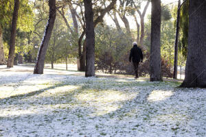 Nieve en Madrid Foto , Isabel Permuy Archdc