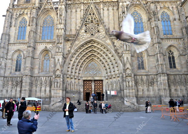 Barrio Gotico de Barcelona. Plaza del Rey. Catedral. Carrer del Bisbe. Sant...