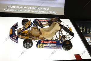 Exposición Coleccion Fernando Alonso