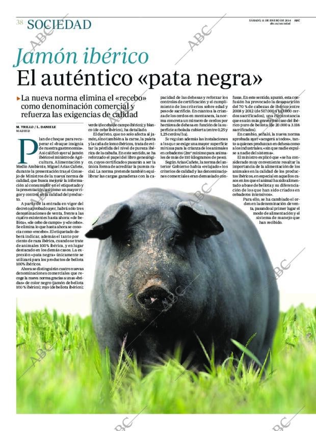 ABC MADRID 11-01-2014 página 38