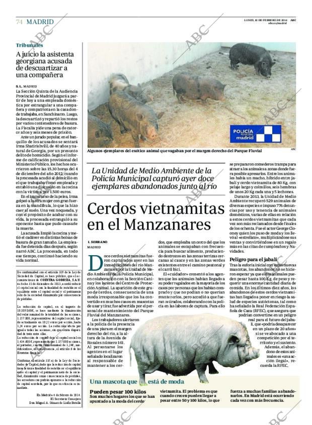 ABC MADRID 10-02-2014 página 74