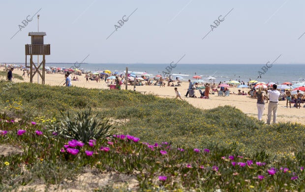 Semana Santa, Jueves Santo