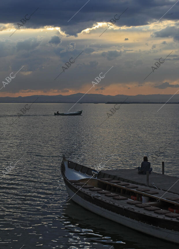 Rober Solsona....20140424...Valencia.......Parc natural de la Albufera.Archdc