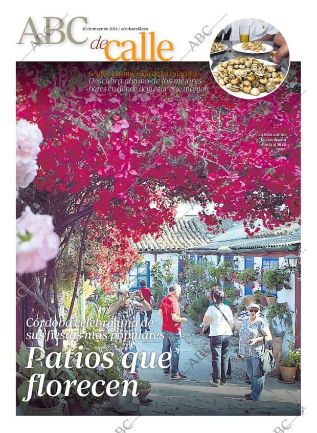 ABC SEVILLA 10-05-2014 página 107