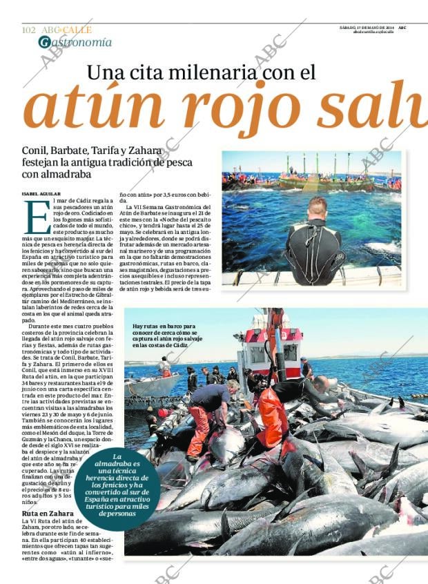 ABC SEVILLA 17-05-2014 página 102