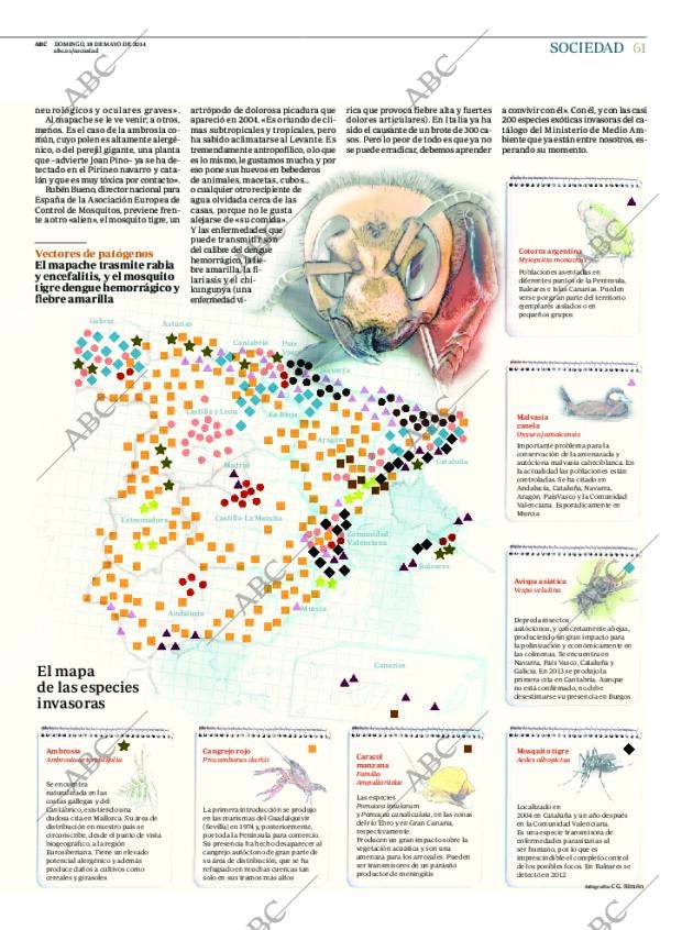 ABC MADRID 18-05-2014 página 61