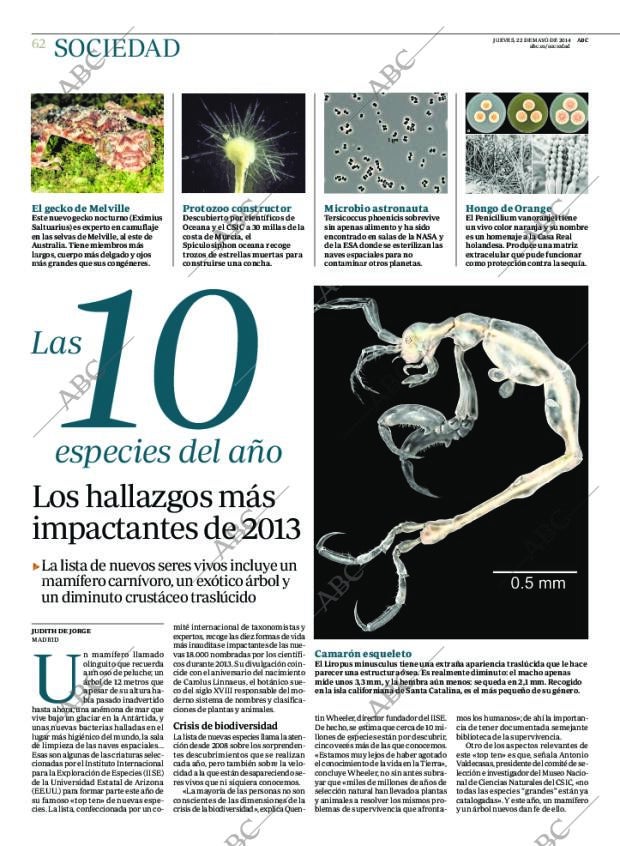 ABC CORDOBA 22-05-2014 página 62