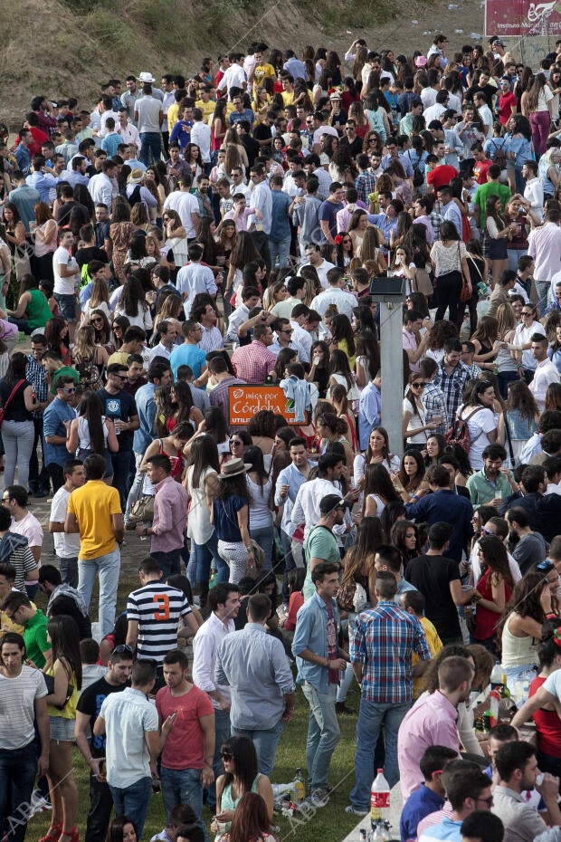 Cordoba. 27-05-14. Miercoles de Feria.Botellon