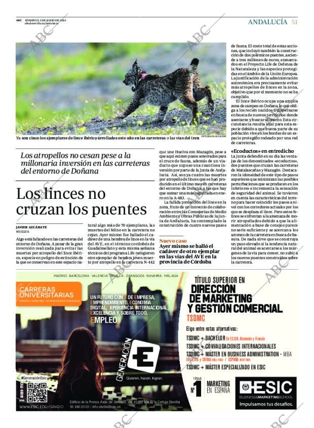 ABC SEVILLA 01-06-2014 página 55