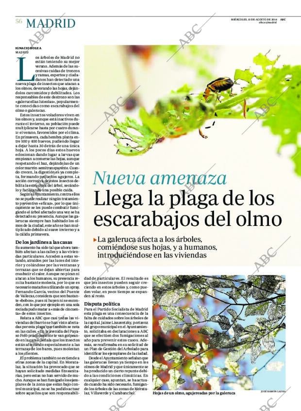 ABC MADRID 13-08-2014 página 56