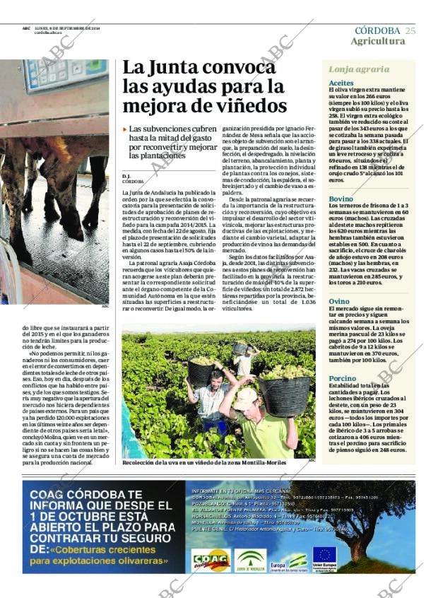 ABC CORDOBA 08-09-2014 página 25
