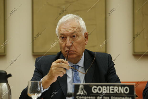 Comparecencia del ministro de Asuntos Exteriores José Manuel García Margallo,...