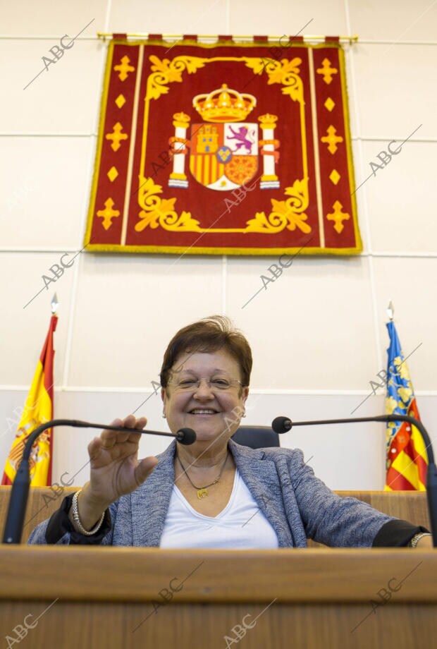 Presidenta de la diputación de Alicante, Luisa Pastor