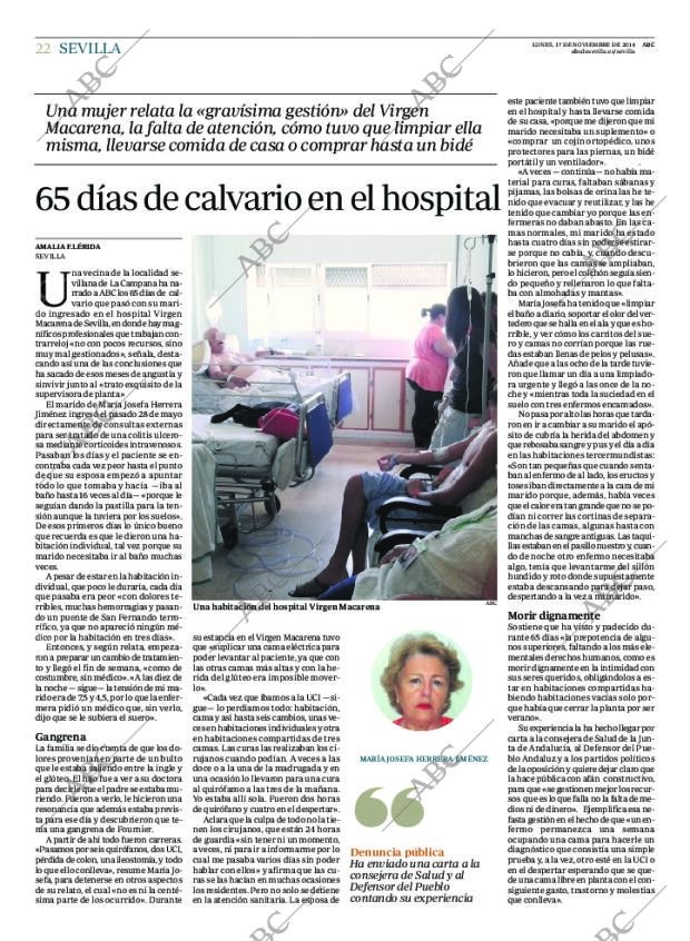 ABC SEVILLA 17-11-2014 página 22