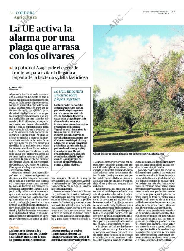 ABC CORDOBA 01-12-2014 página 34