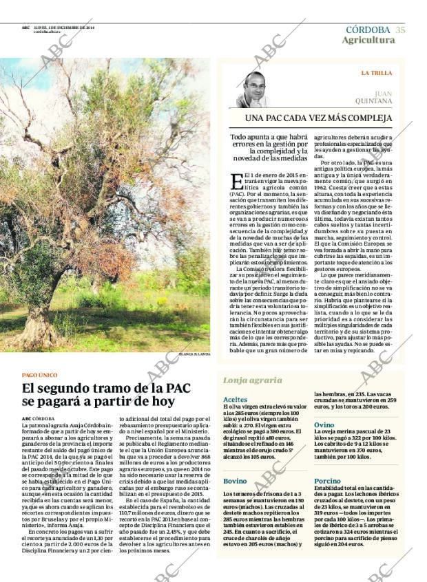 ABC CORDOBA 01-12-2014 página 35