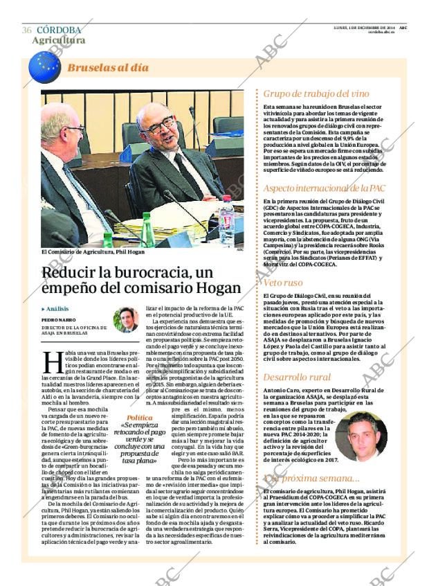 ABC CORDOBA 01-12-2014 página 36