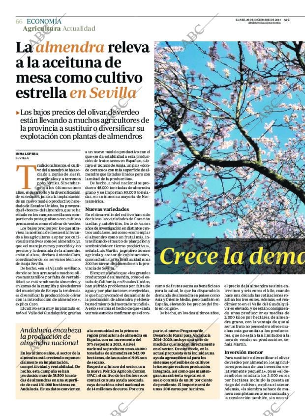 ABC SEVILLA 29-12-2014 página 66