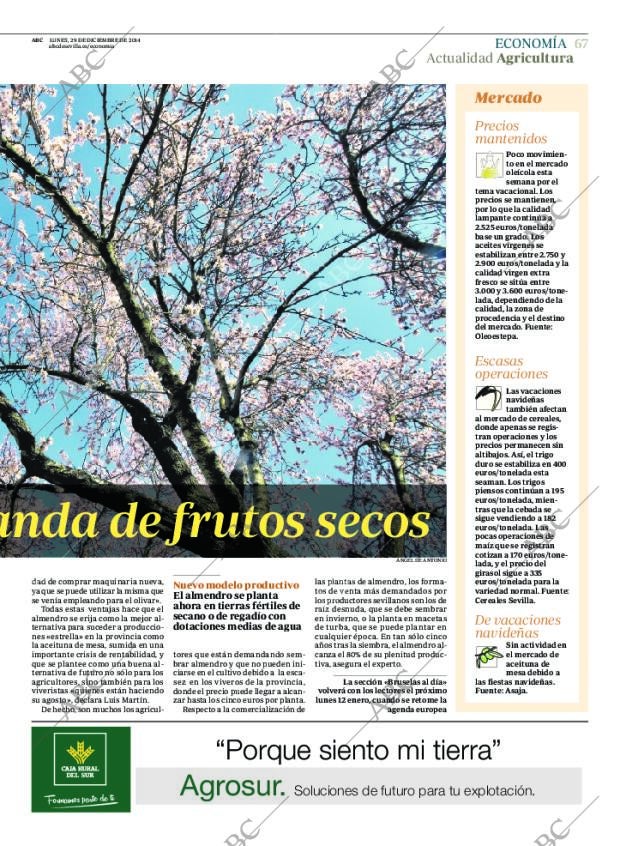ABC SEVILLA 29-12-2014 página 67