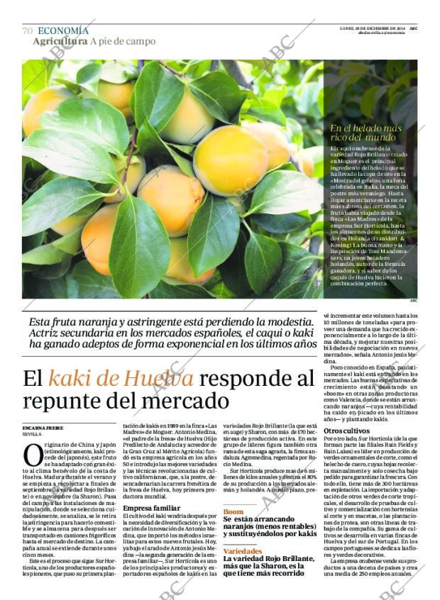ABC SEVILLA 29-12-2014 página 70