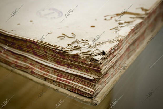 Foto Isabel Permuy Archdc