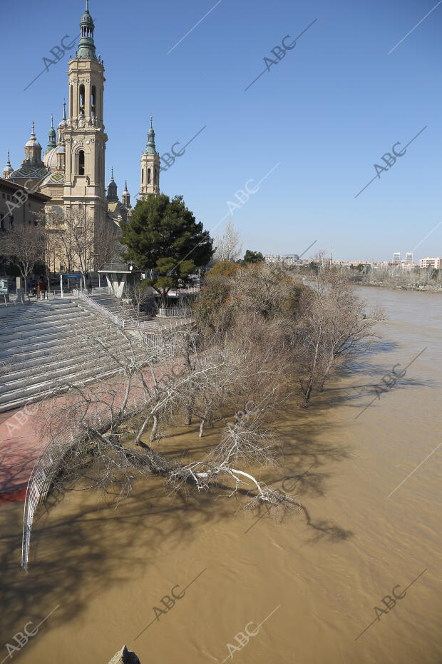 Crecida del río Ebro foto Fabián Simón ARCHDC