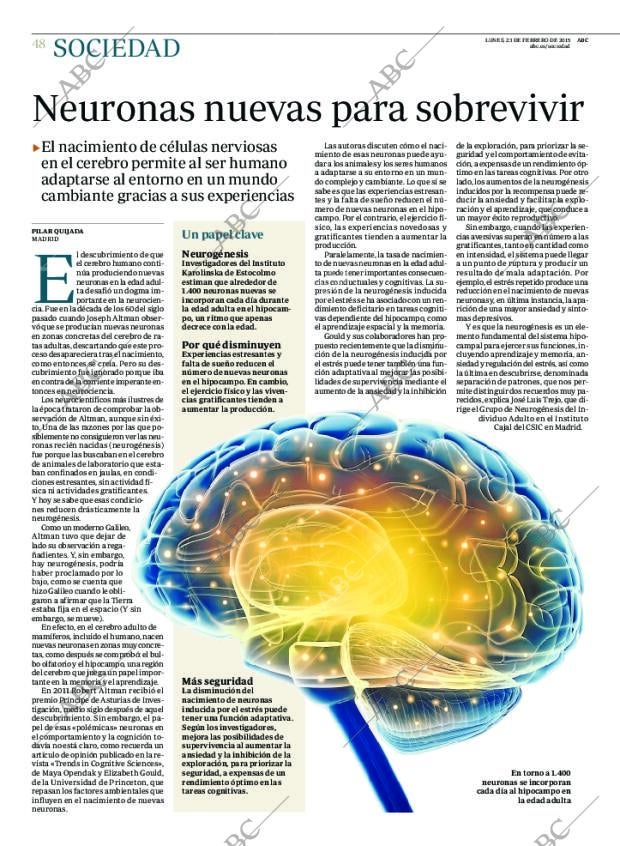 ABC MADRID 23-02-2015 página 48