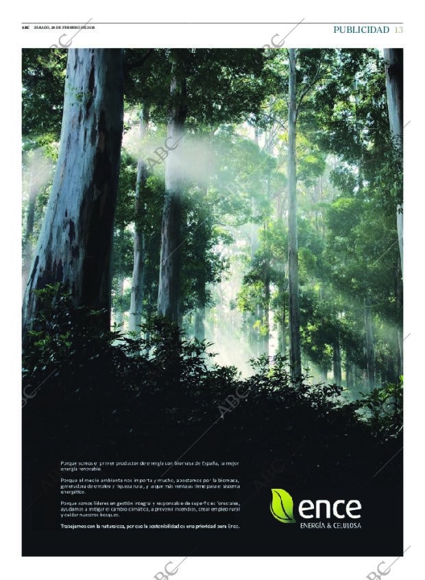 ABC CORDOBA 28-02-2015 página 13