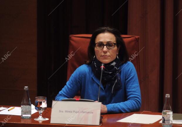 Comisión de investigación en el Parlament, comparecencia de Mireia Pujol...