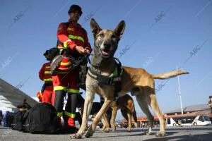 Soldados españoles de la UME, tras su llegada a Nepal con varios perros...