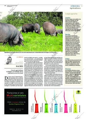 ABC CORDOBA 11-05-2015 página 31