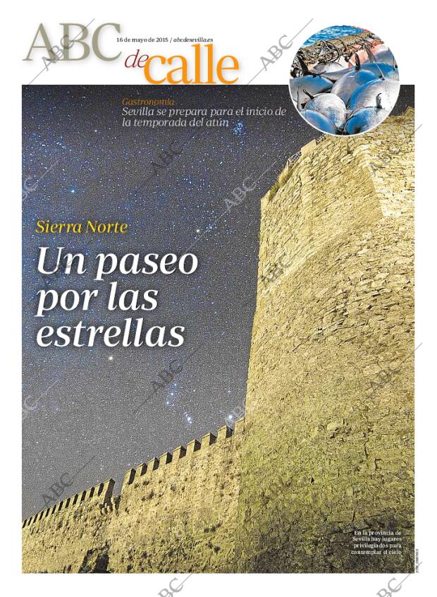 ABC SEVILLA 16-05-2015 página 95