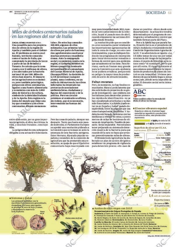 ABC CORDOBA 24-05-2015 página 61