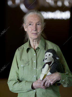 Entrevista A jane Goodall