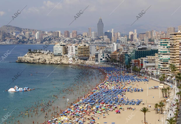 Benidorm (Alicante), 29/07/2015. Playa del levante en Benidorm