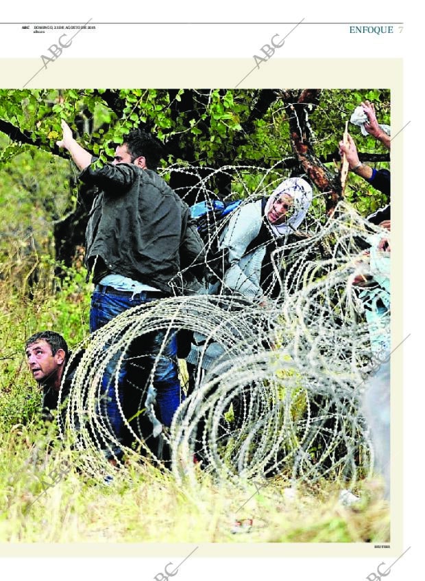 ABC MADRID 23-08-2015 página 7