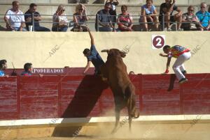 Alcalá de Henares (Madrid). Fiestas de Alcalá. Encierros y Vaquillas