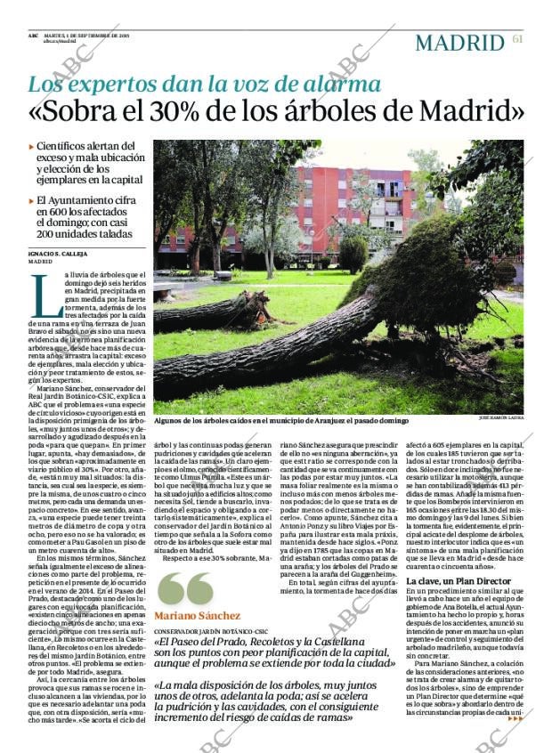 ABC MADRID 01-09-2015 página 61