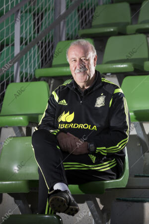 Vicente del Bosque