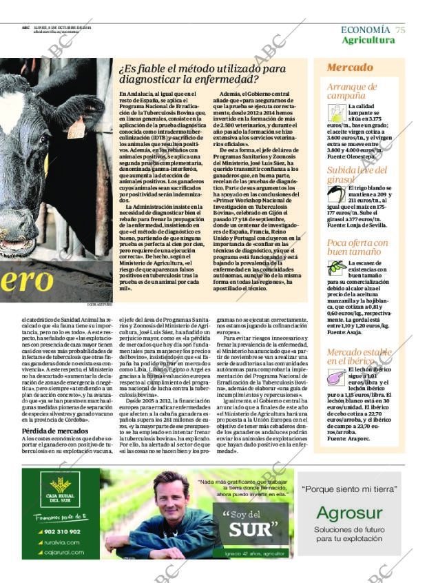 ABC SEVILLA 05-10-2015 página 75