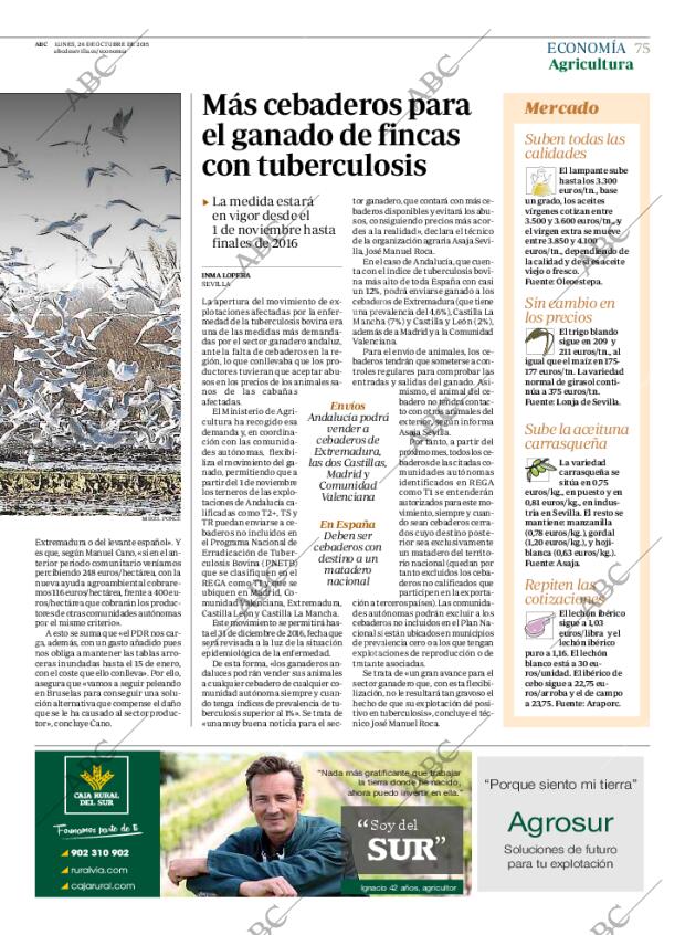 ABC SEVILLA 26-10-2015 página 75