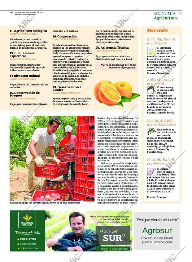 ABC SEVILLA 02-11-2015 página 75